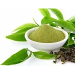Green Tea Extract  