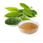 Green Tea Extract 2