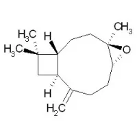 Caryophyllene Oxide