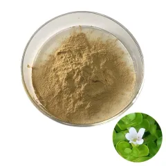 Bacopa Extract 20 Bacosides